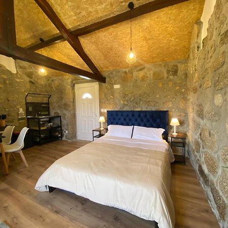 Casa De Pedra Em Vinha No Dao Villa Nelas Bagian luar foto