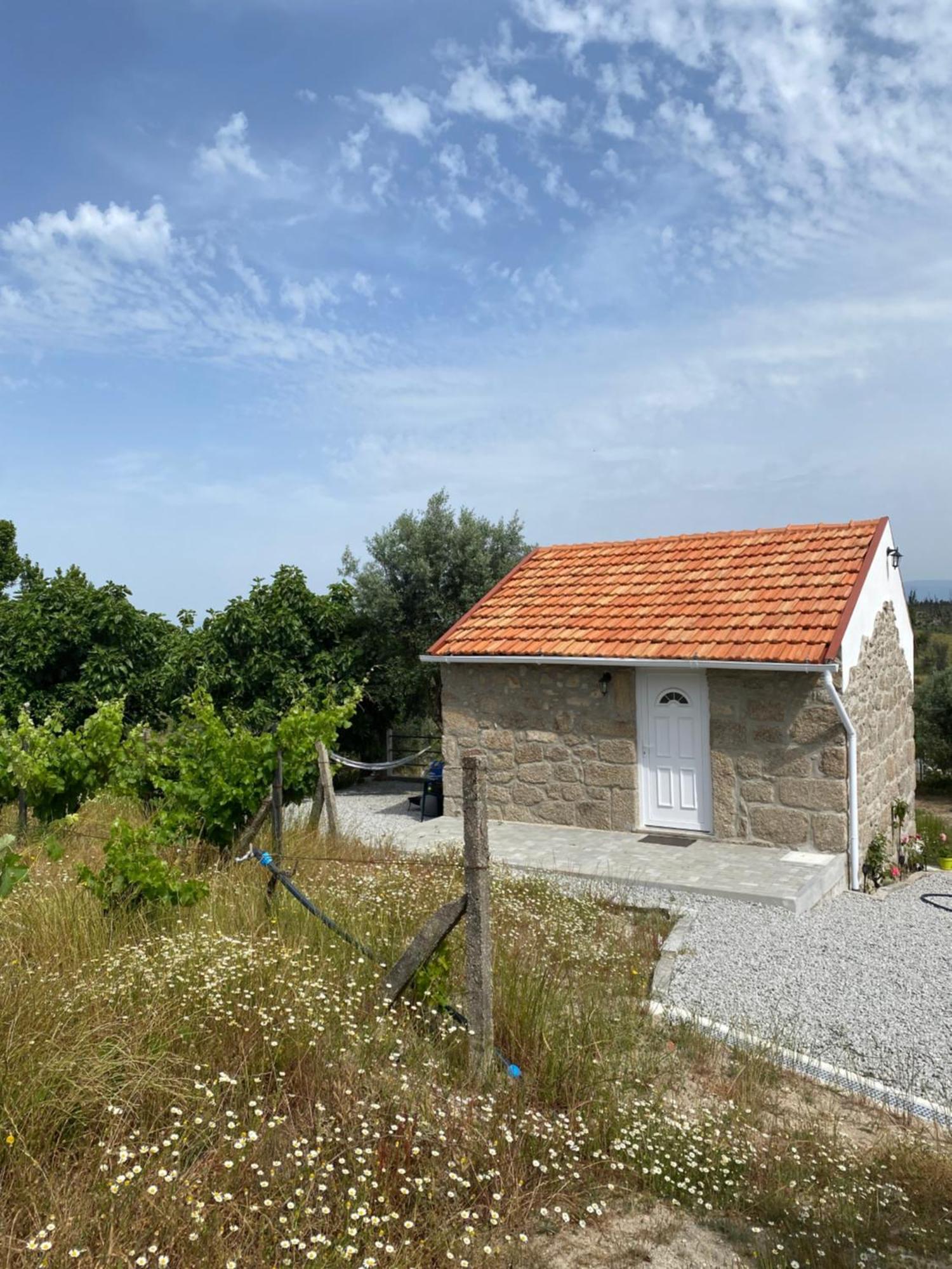 Casa De Pedra Em Vinha No Dao Villa Nelas Bagian luar foto